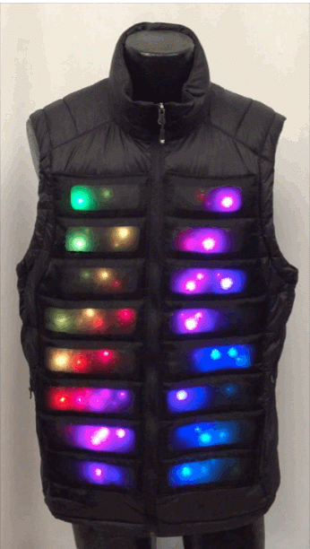 Enlighted Puffy Vest