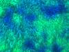 blue_green_blanket_detail.jpg