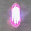 cb_heart_IMG_0751.jpeg